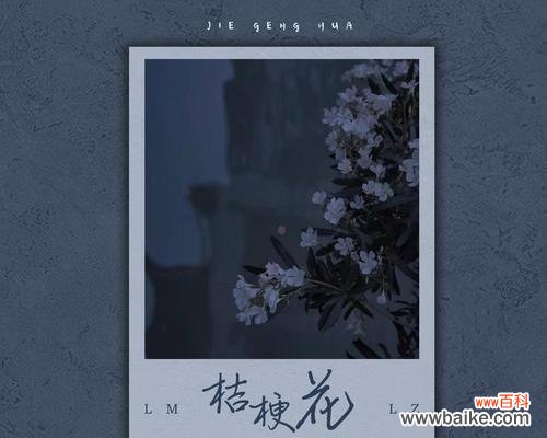 丸和桔梗的花语是什么？丸和桔梗花语的象征意义是什么？