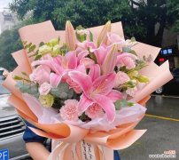 蓝白合花的花语是什么？蓝白合花花语的寓意是什么？