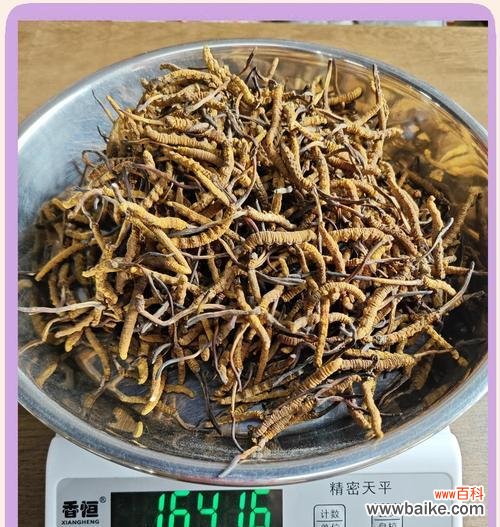黑嚏根草的花语是什么?黑嚏根草花语的含义是什么?