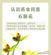石解花的花语有哪些？石解花象征着什么？