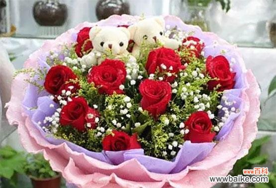 铁海棠的花语与寓意以及象征的深层意义 铁海棠