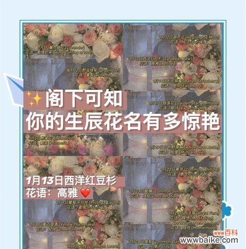 红豆杉花的花语是什么?它传递了什么信息?