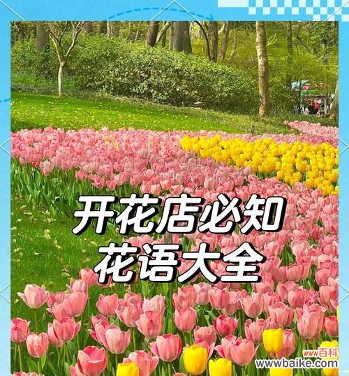 绿植也有花语吗?它们通常象征着什么?