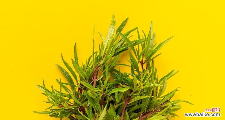 迷迪香的花语是什么?它传递了怎样的信息?