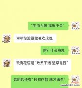 瑰玖花的花语是什么？它有何特别含义？