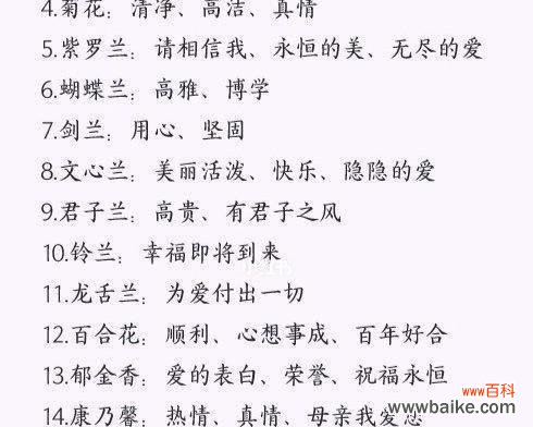 红彩阁的花语是什么？它传递了什么信息？