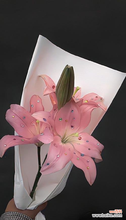 疫情期间百合花语代表什么？