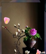 紫玉兰花花语是什么意思？