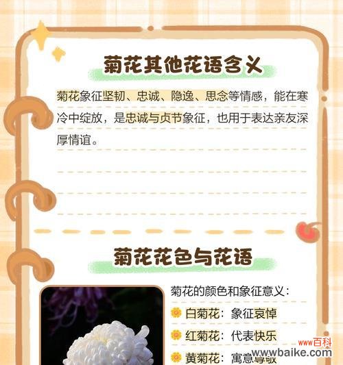 浅黄菊花花语代表什么？