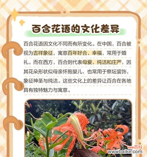复仇主题的百合花语是什么?