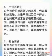 食用百合花语代表什么？