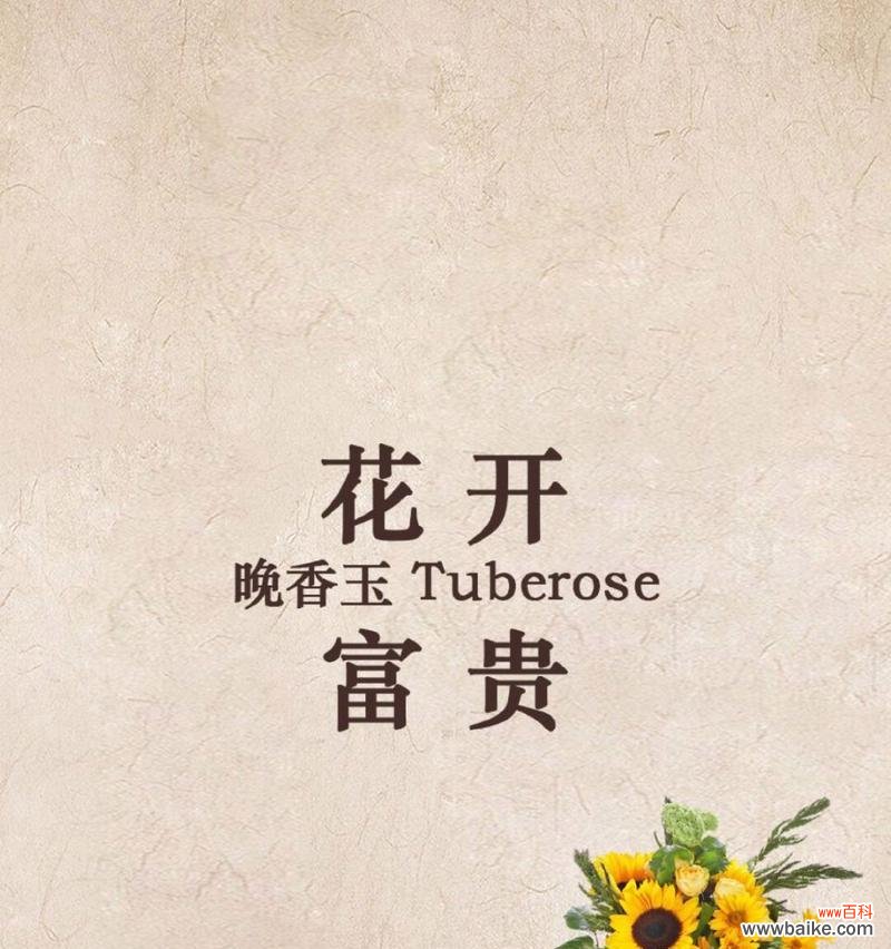 神秘的晚香玉，芬芳永恒的寓意 晚香玉花语与传说