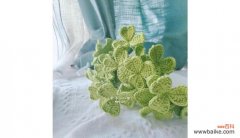 三叶草花语代表什么？