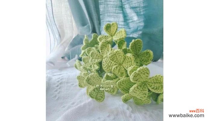 三叶草花语代表什么?