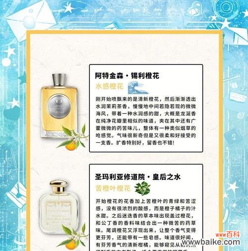 橙水仙花花语有何含义?