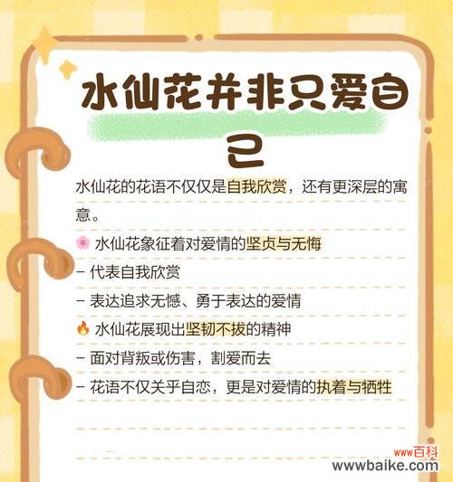 橙水仙花花语有何含义?