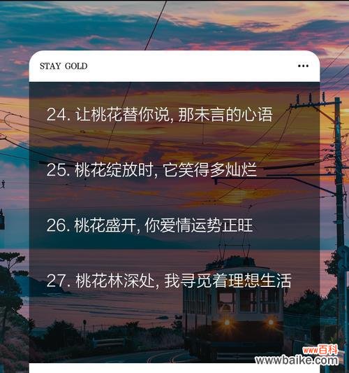 桃花花语有哪些含义?