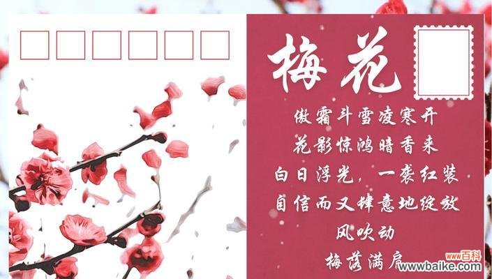 桃花花语有哪些含义?