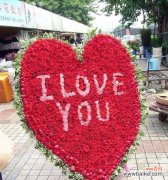 乌鲁木齐市花红杏花的意义与美丽 乌鲁木齐的市花——红杏花