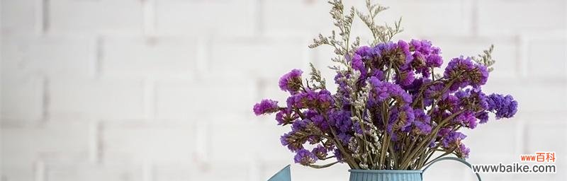 忘不了的花语,深情厚谊 花开人间永恒的爱与友谊