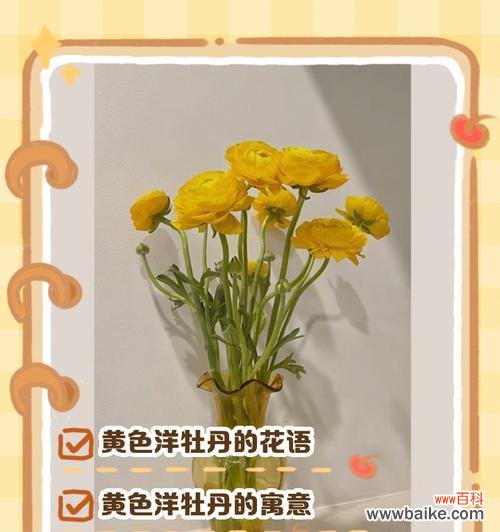 三叶牡丹的花语是什么？它的文化意义是什么？