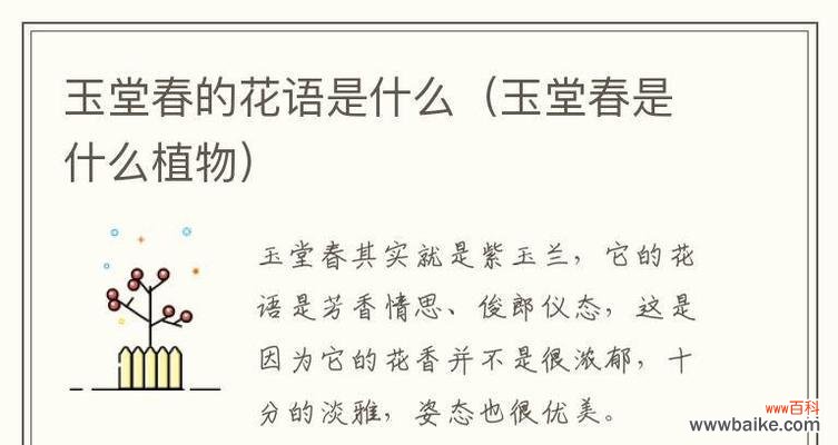 四季芳香植物的花语有哪些?它们各自代表什么?