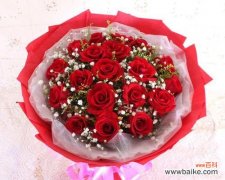 探索仙人球花的象征意义及其隐藏在其中的故事 仙人球花的花语和寓意