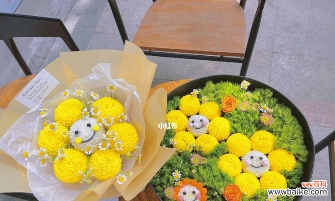 乒乓菊的寓意及象征意义 乒乓菊花语解读——传递坚强与希望的花朵