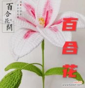 百合花语与颜色有何关联？不同颜色的百合代表什么？