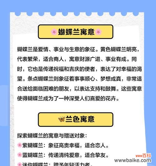 小蝴蝶兰的花语是什么?它象征着怎样的情感?
