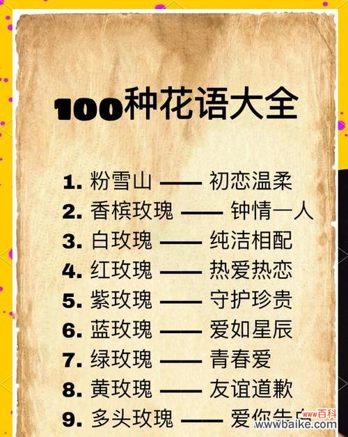 一掌红花语有何深意?适合哪种场合?