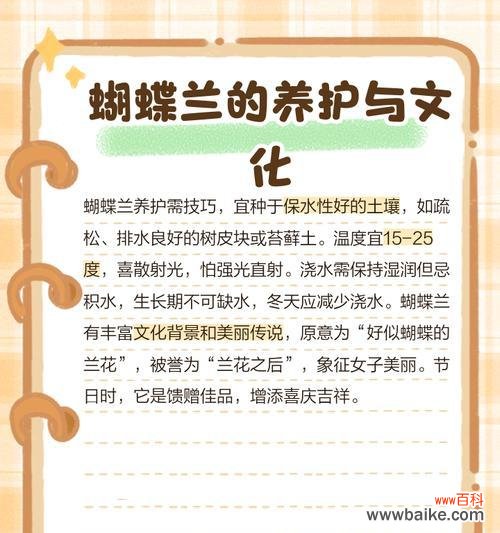 蝴蝶兰花语意指的是什么？如何用蝴蝶兰表达情感？