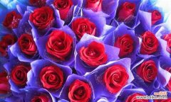 探秘香菜开花原因与管理技巧 香菜的开花现象及其影响