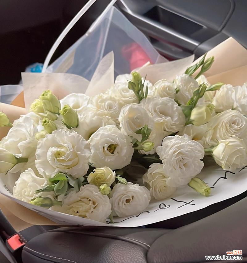 探寻香槟洋桔梗的神秘花语 以香槟洋桔梗花语为主题的文章