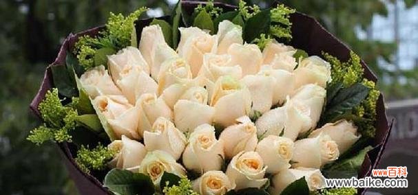 浪漫花语的意义和19朵香槟玫瑰花束的表达方式 香槟玫瑰花语19朵,浪漫之爱的绽放