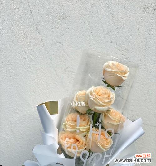 浪漫花语的意义和19朵香槟玫瑰花束的表达方式 香槟玫瑰花语19朵,浪漫之爱的绽放