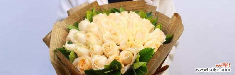 浪漫花语的意义和19朵香槟玫瑰花束的表达方式 香槟玫瑰花语19朵,浪漫之爱的绽放