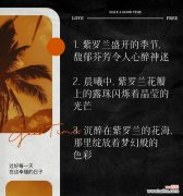 紫罗兰花语幻是什么意思？它如何影响情感？