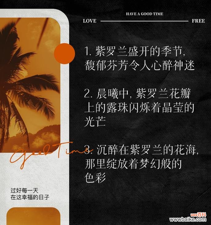 紫罗兰花语幻是什么意思？它如何影响情感？