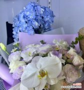 一家人的花语代表什么？如何选择合适的花卉？