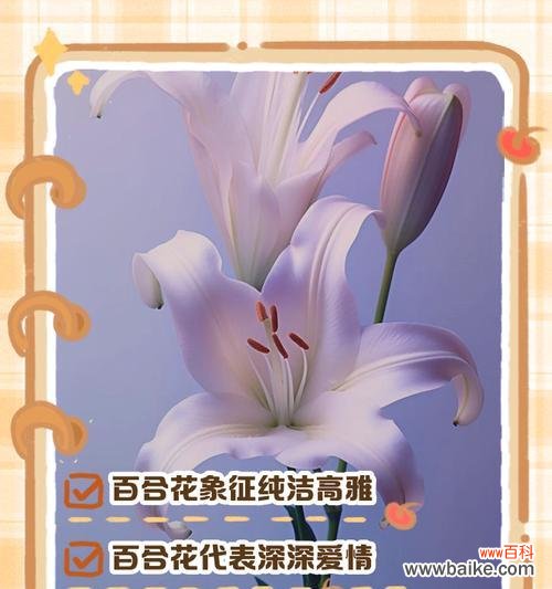 花的花语和寓意有哪些？如何挑选寓意深刻的花卉？