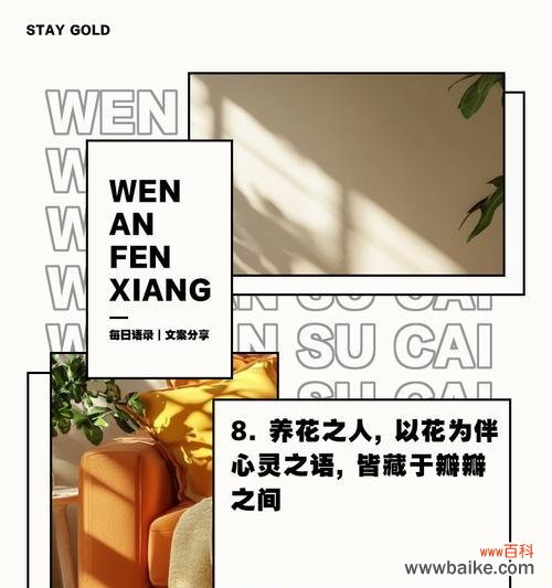 哪种花的花语是开心？如何用花卉传递快乐？