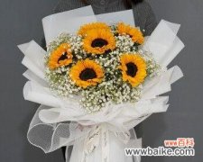 传递温暖的鲜花组合，适合送给你爱的人 向日葵与满天星的搭配意义