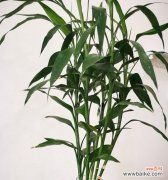 &quot;揭秘生命奇迹 &quot;踏上成功之路