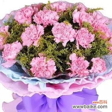 揭开以香石竹的花语之谜 以香石竹之花语