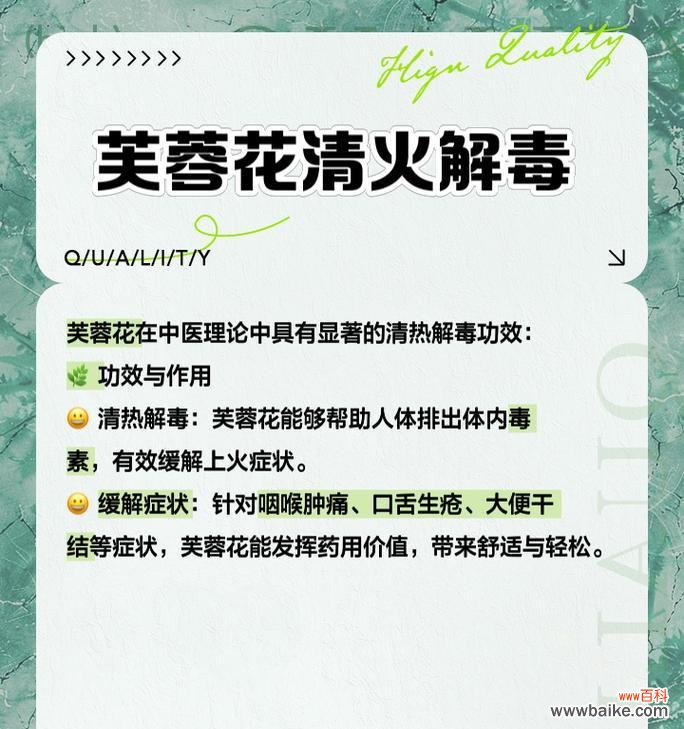 芙蓉花花语是什么？如何解读芙蓉花的象征意义？