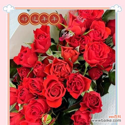 有点花头的花语是什么？如何理解其深层含义？