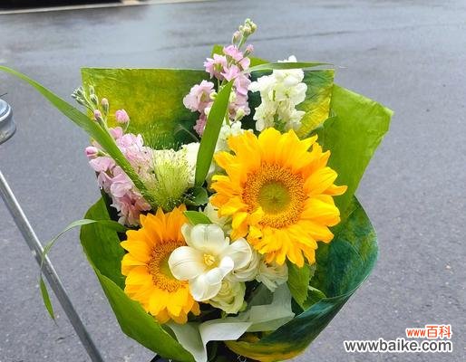 什么花送朋友寓意最好？如何选择合适的花卉表达心意？