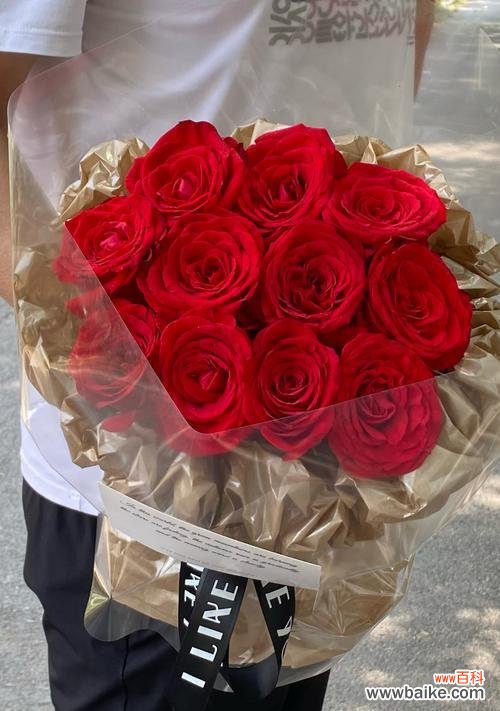 什么花送朋友寓意最好？如何选择合适的花卉表达心意？