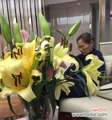 红玫瑰——母爱永恒的化身 象征母爱的植物——红玫瑰的花语